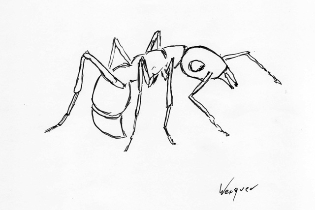 daily_ant_47